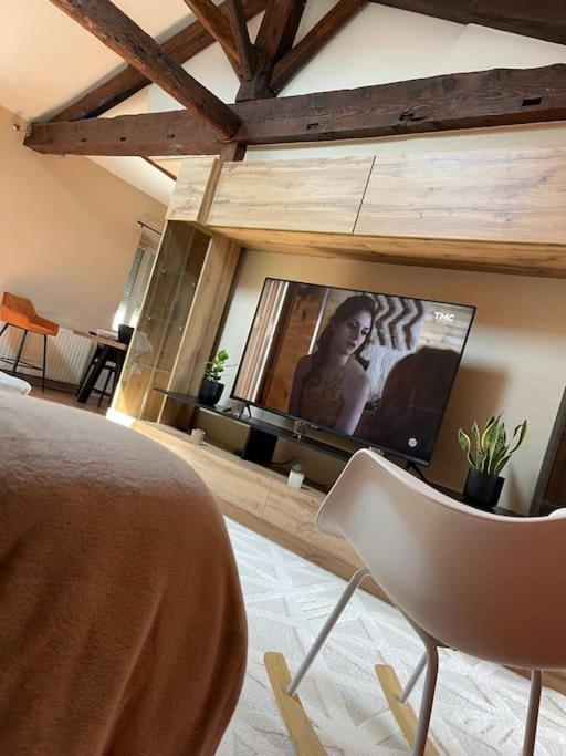 Appartement De Charme 80M2 Givors Exterior foto